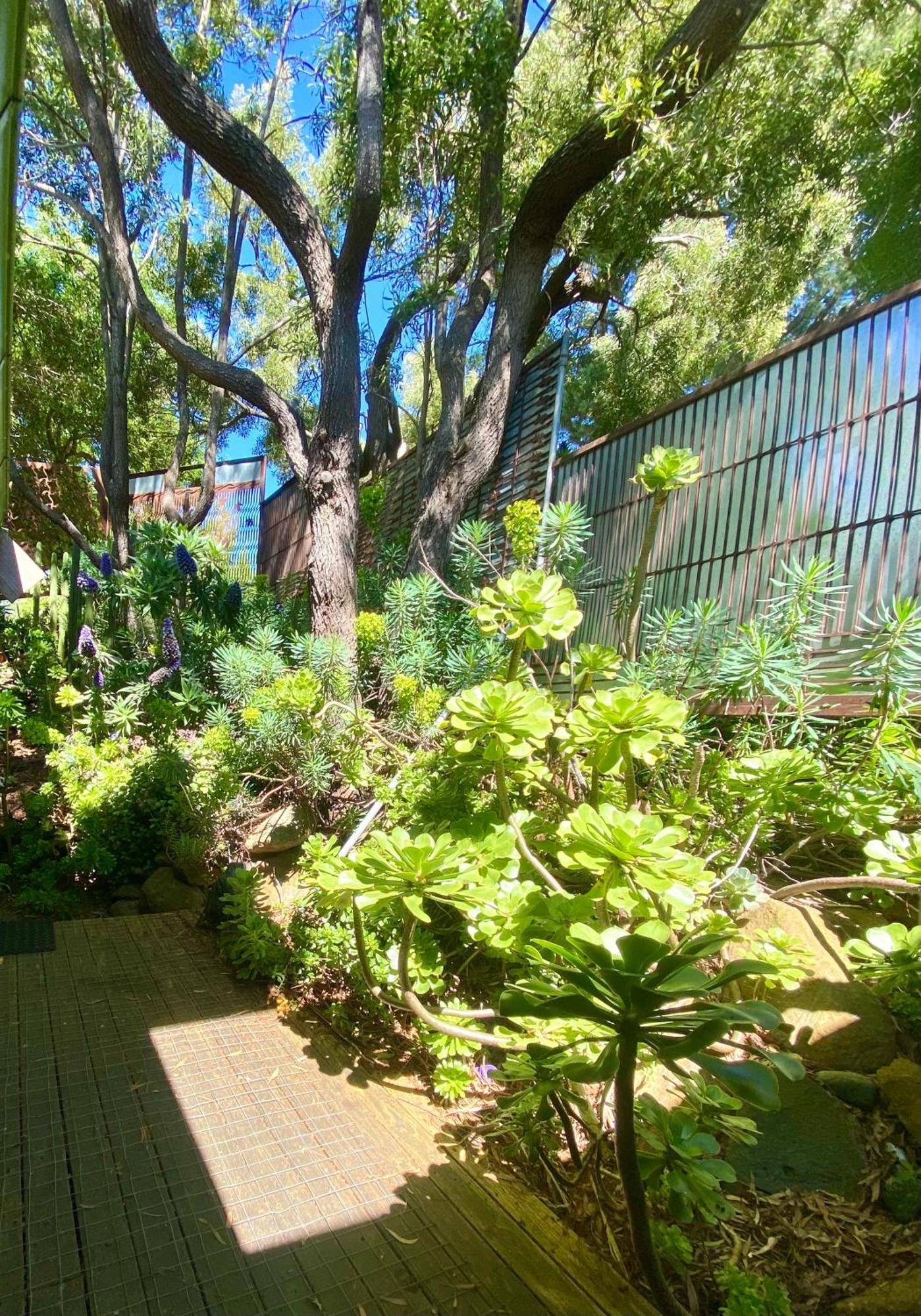 Sutton Spring Art Retreats Apartment Daylesford Room photo